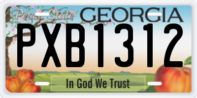 GA license plate PXB1312