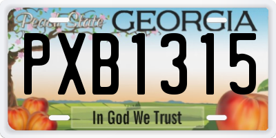 GA license plate PXB1315