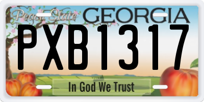 GA license plate PXB1317