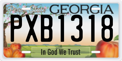 GA license plate PXB1318