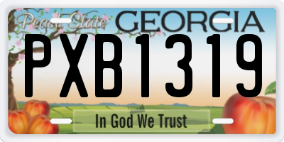 GA license plate PXB1319