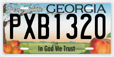 GA license plate PXB1320