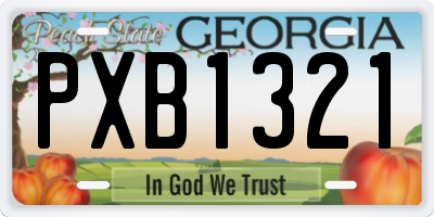 GA license plate PXB1321