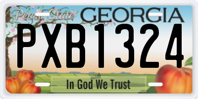 GA license plate PXB1324