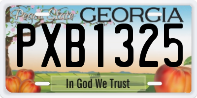 GA license plate PXB1325