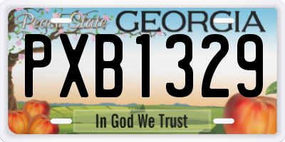 GA license plate PXB1329