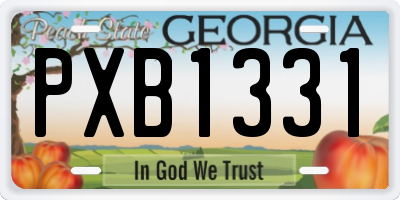 GA license plate PXB1331