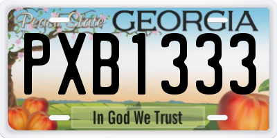 GA license plate PXB1333