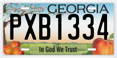GA license plate PXB1334