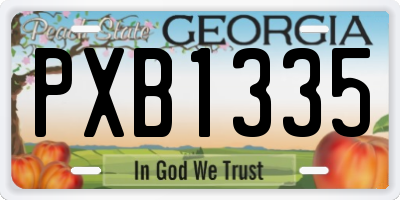 GA license plate PXB1335