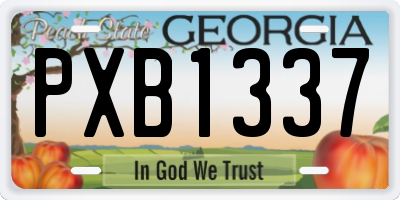 GA license plate PXB1337