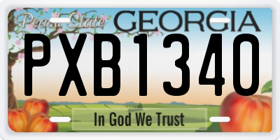GA license plate PXB1340
