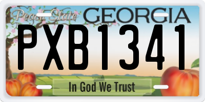 GA license plate PXB1341