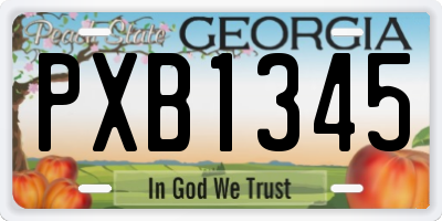 GA license plate PXB1345