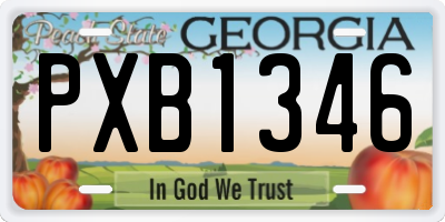 GA license plate PXB1346
