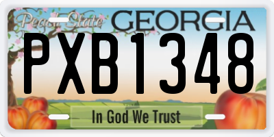 GA license plate PXB1348