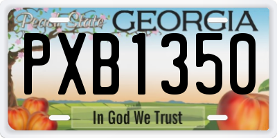 GA license plate PXB1350