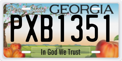 GA license plate PXB1351