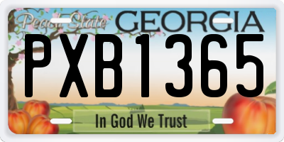 GA license plate PXB1365