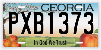 GA license plate PXB1373