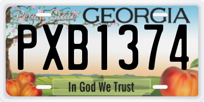 GA license plate PXB1374