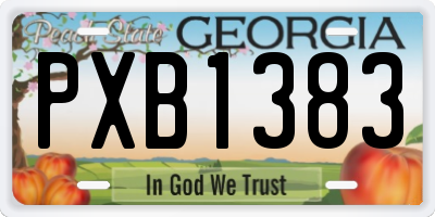 GA license plate PXB1383