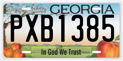 GA license plate PXB1385
