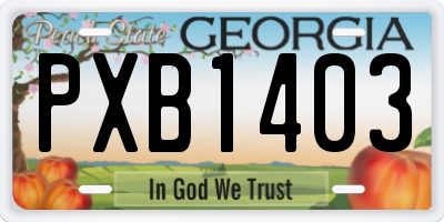 GA license plate PXB1403