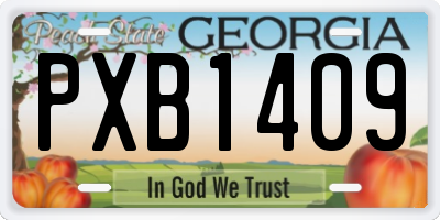 GA license plate PXB1409