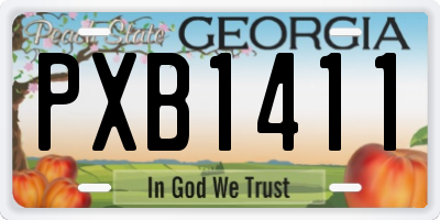 GA license plate PXB1411