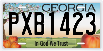 GA license plate PXB1423
