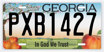 GA license plate PXB1427