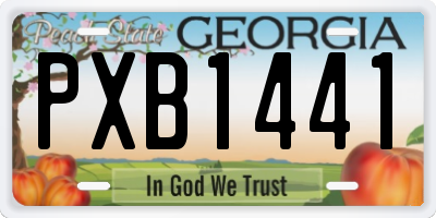 GA license plate PXB1441