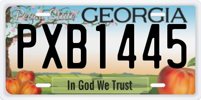 GA license plate PXB1445
