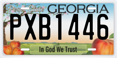 GA license plate PXB1446