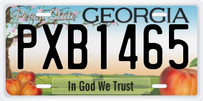 GA license plate PXB1465