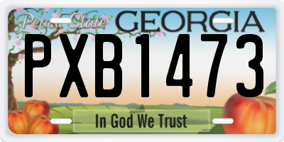 GA license plate PXB1473