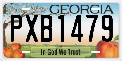GA license plate PXB1479