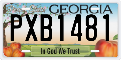 GA license plate PXB1481