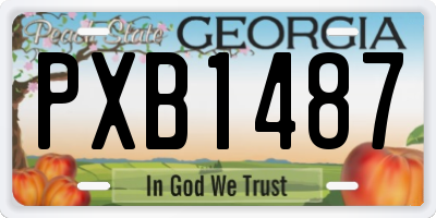 GA license plate PXB1487