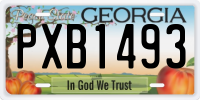 GA license plate PXB1493