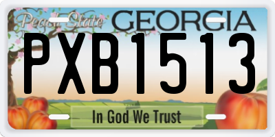GA license plate PXB1513