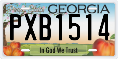 GA license plate PXB1514