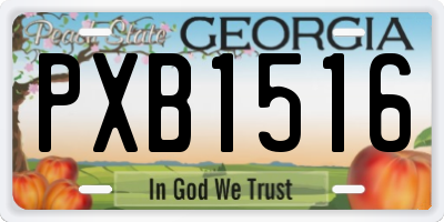 GA license plate PXB1516