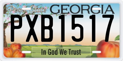 GA license plate PXB1517