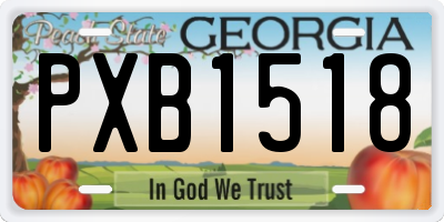 GA license plate PXB1518