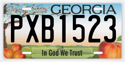 GA license plate PXB1523