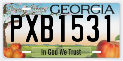 GA license plate PXB1531