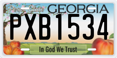GA license plate PXB1534
