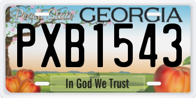 GA license plate PXB1543